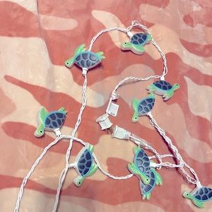 Turtle lights